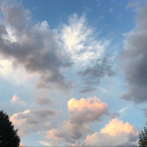 Meet your Posher, Donna